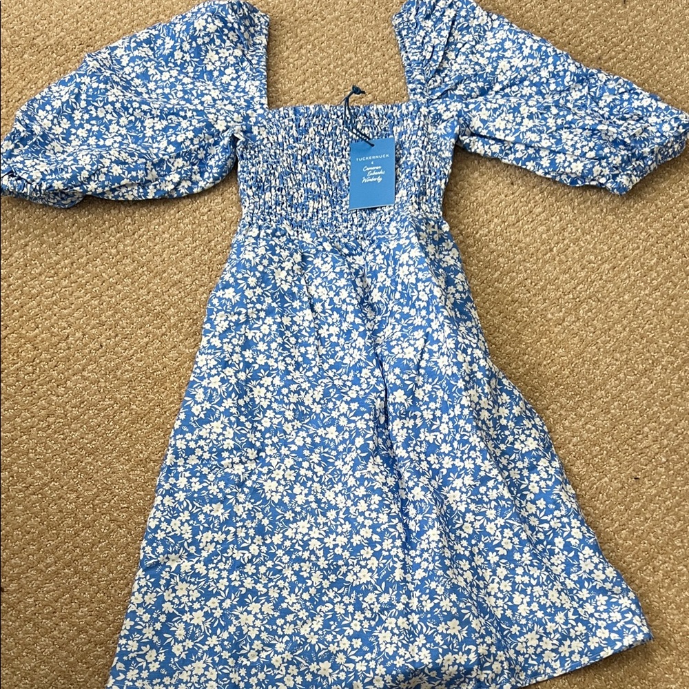 Tuckernuck x Cameran Eubanks Wimberly Dress with Blue and White Floral Design
